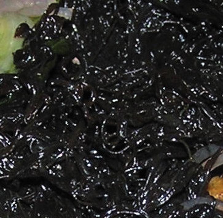 Нематоносток плетевидный