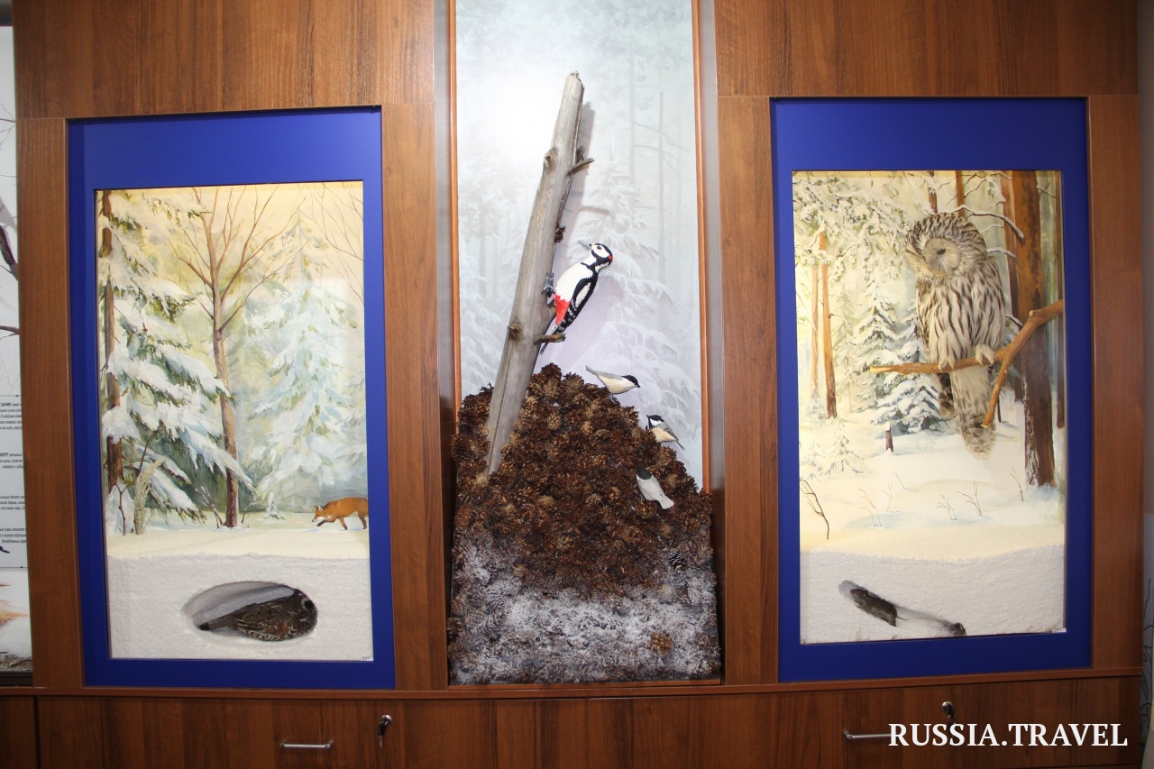 Музей орлана-белохвоста