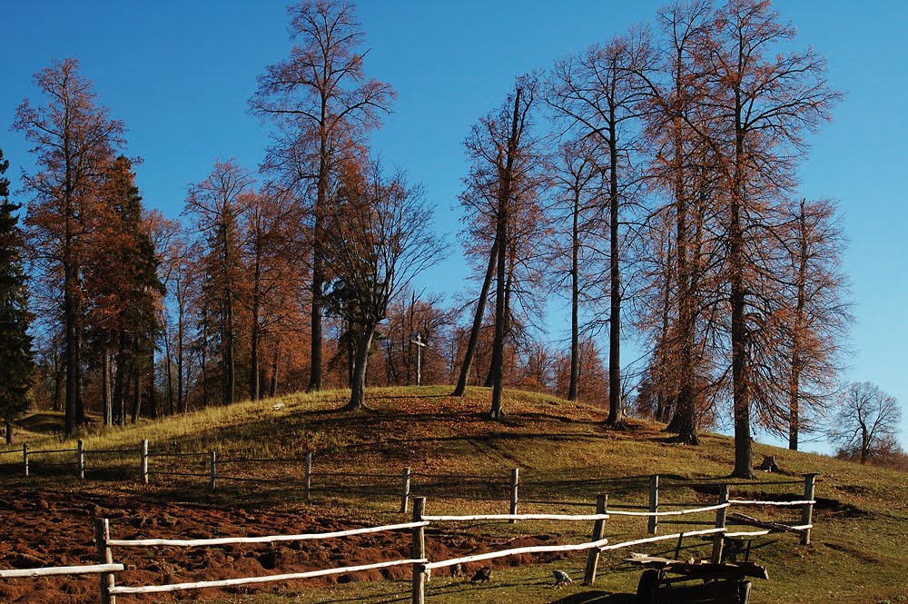 Поклонный крест в деревне Сокол