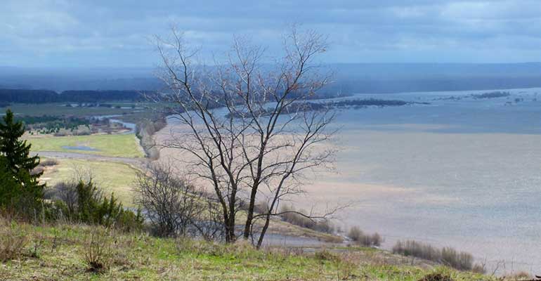 Источник в честь Тихвинской иконы Божией Матери